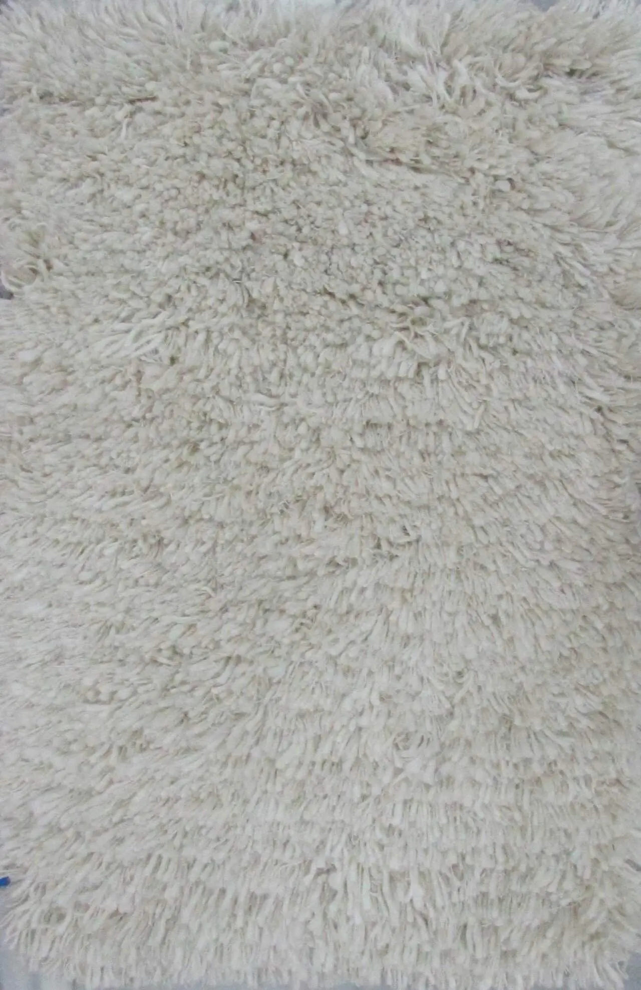 SHAGGY 1001 IVORY