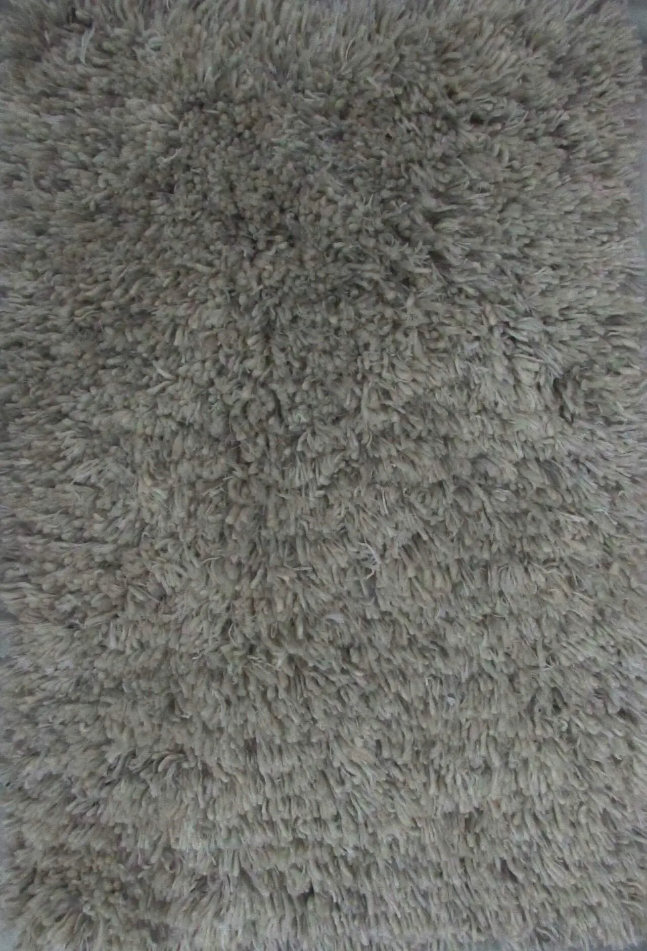 SHAGGY 1001 SAND